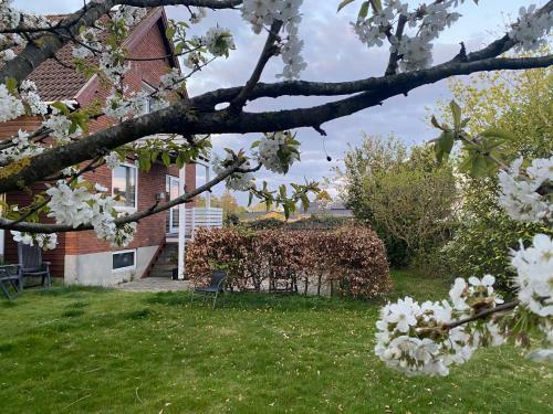 Spacious & Well Located Villa Apartement