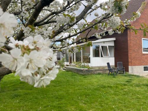 Spacious & Well Located Villa Apartement