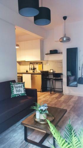 Down Town Luxurious Apartments (1)