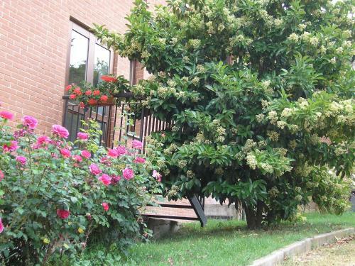 Hotel La Collina Di Collevalenza