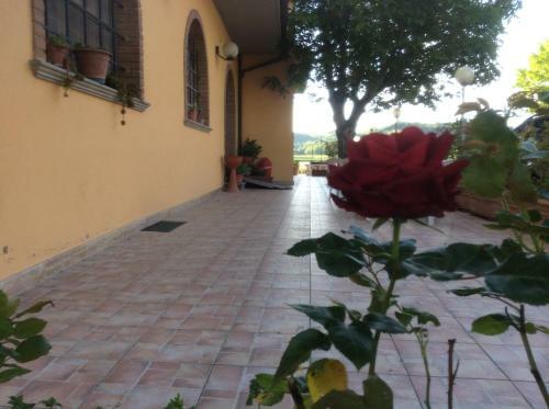 Hotel Il Pozzetto