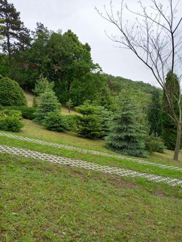 Holiday Home In Balatongy�r�k 42694
