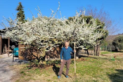 Apartamento Fattoria Calcarola