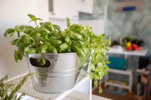 Apartamento Sea View Umag