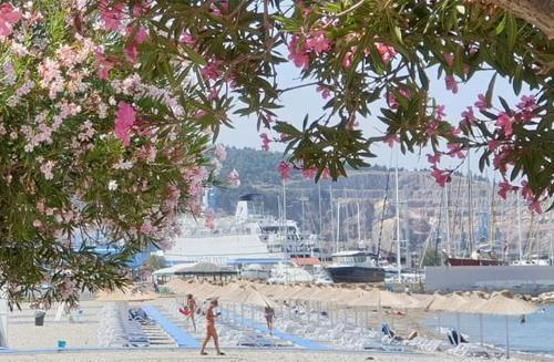 Apartman 70m2