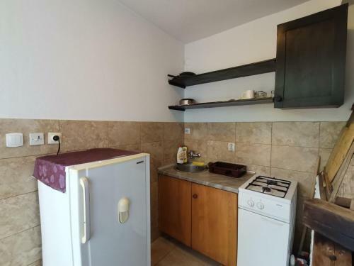 Apartman Scepanovic