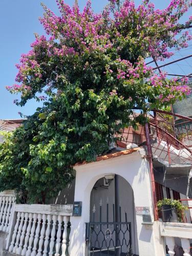 Hostal Apartmani Love