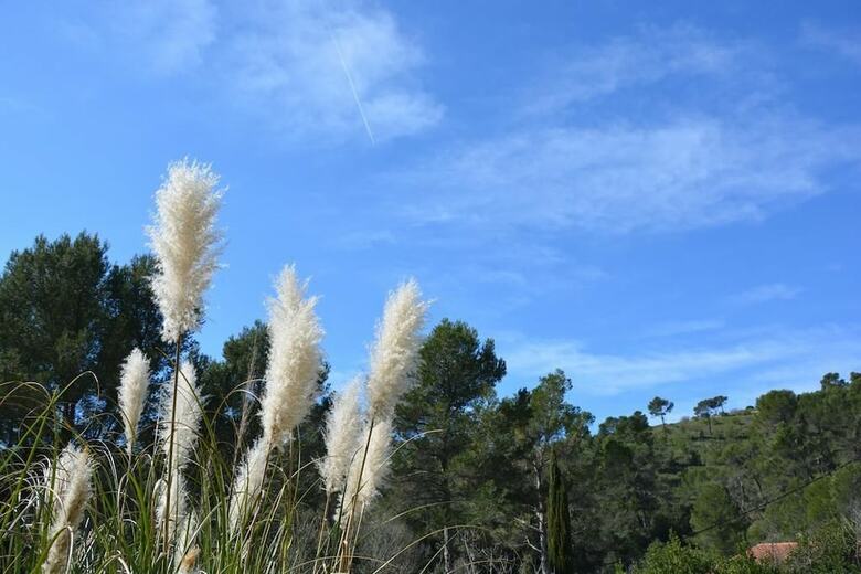 Bed & Breakfast Le Mas Des Aludes
