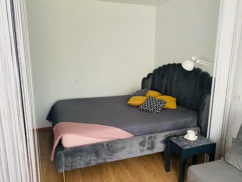 Apartamento Studija ?janonio 25?
