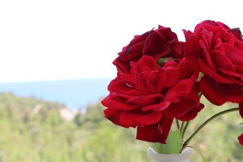 Apartamento Fantasy Grand Villa Thassos