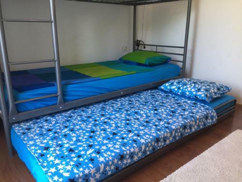 Apartment Ani Crikvenica