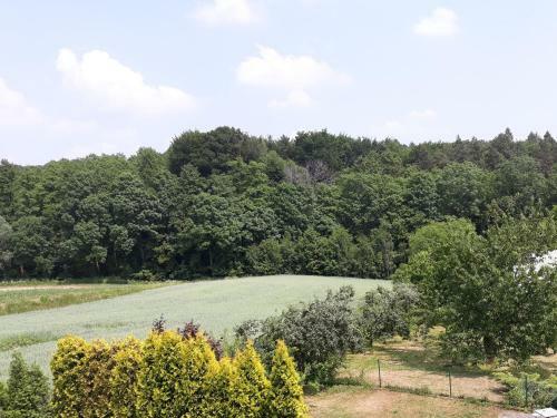 Apartamento Agroturystyka Zacisze Kani�w