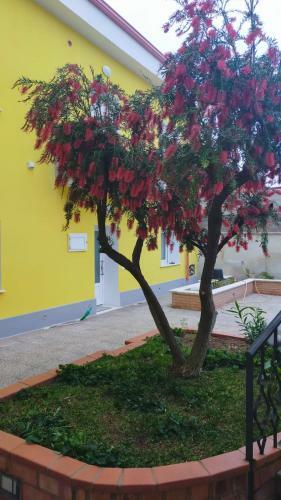 Hostal Helianthus