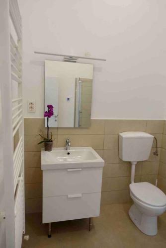 Beautiful Apartment Arad City Center