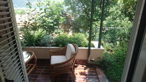 Apartment Branka Fortunella