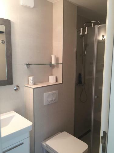 Apartment Branka Fortunella