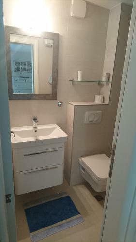 Apartment Branka Fortunella