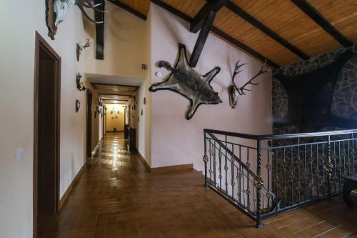 Villa Cabana Racovita