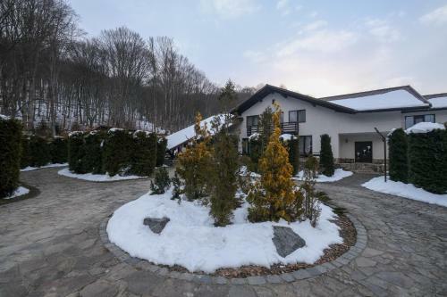 Villa Cabana Racovita