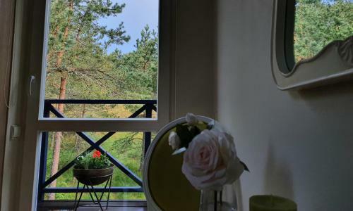 Pervalkos Mi?ko Ir ?vyturio Apartamentai