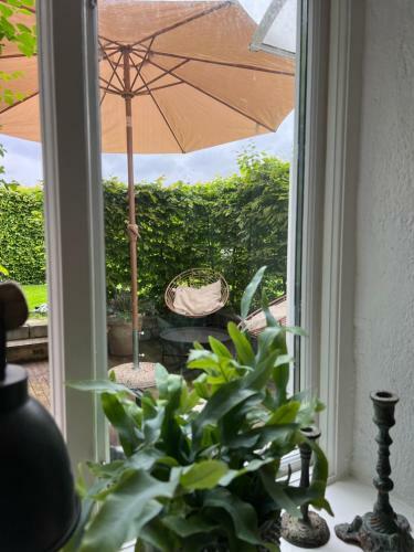 Apartamento Havsbadsv�gen Stella Star