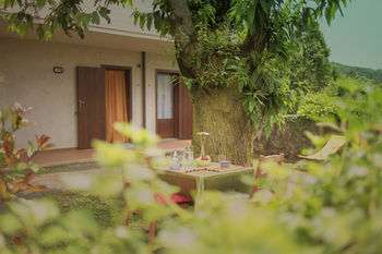 Apartamento Residence Il Castagno