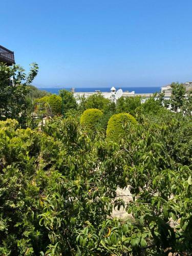 Bodrum G�m�?l�k Rental Villa