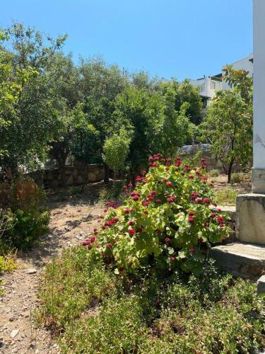 Bodrum G�m�?l�k Rental Villa