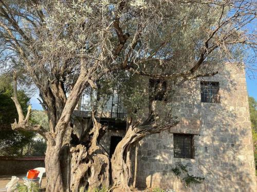 Secret Garden Villas, Private Pool In Yal?kavak