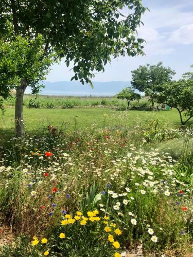 Home On Iznik Lake With Its Own Private Beach