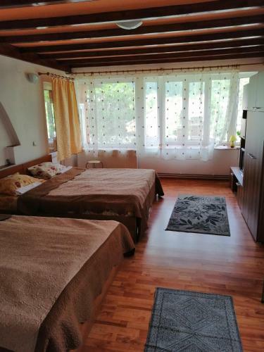 Hostal Ddm Montan Grup 2