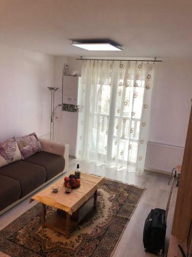 Cazare �n Bu?teni - Apartament 3 Camere