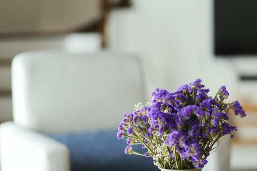 Apartamento Krem Marin Suites