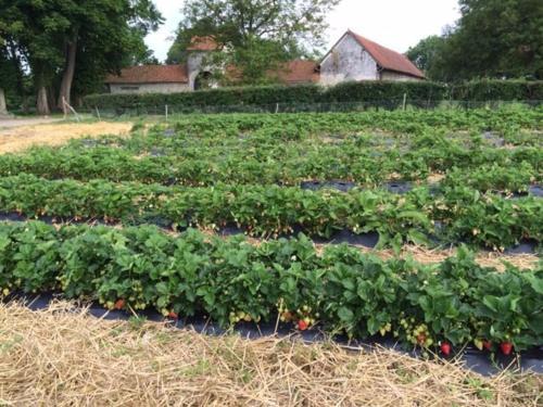 Bed & Breakfast La Ferme Du Bois Quesnoy