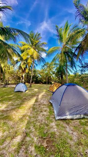 Camping Venturi
