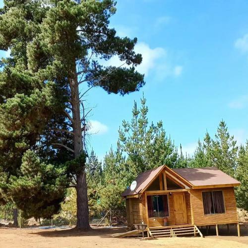Caba�as Vistabosque De Algarrobo