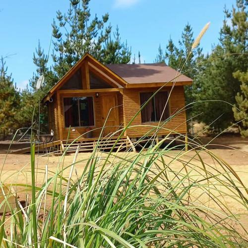 Caba�as Vistabosque De Algarrobo