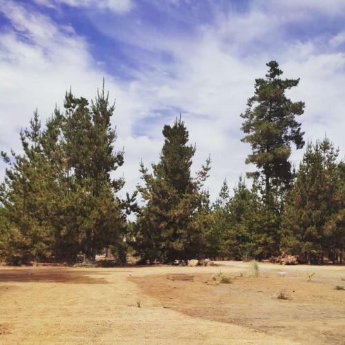Caba�as Vistabosque De Algarrobo