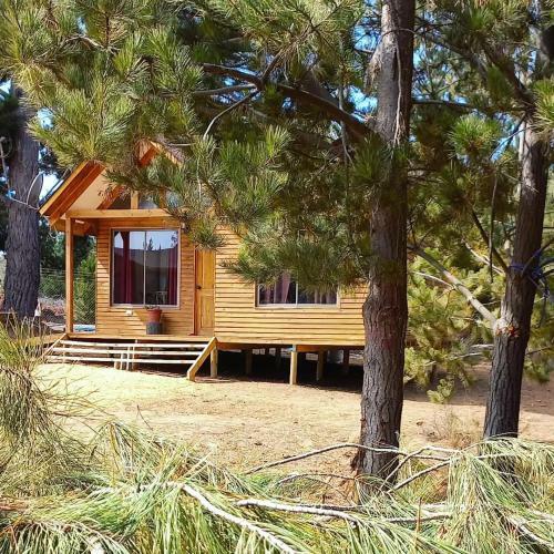 Caba�as Vistabosque De Algarrobo