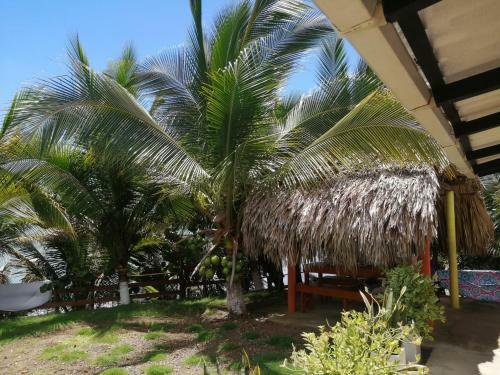 La Caba�a De Jhordy