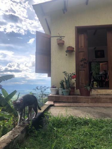 Agroturismo Casa Picaflores - Birds & Coffee