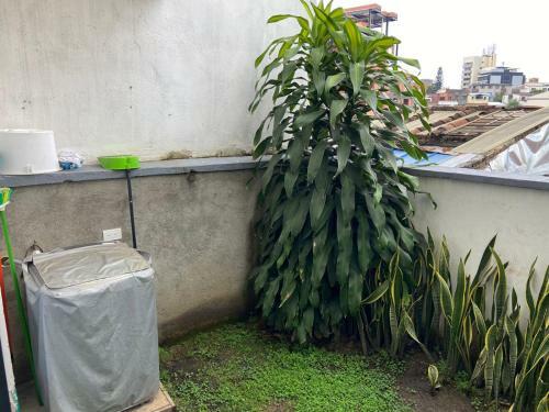 Apartamento Estudio Oeste Cali S-202