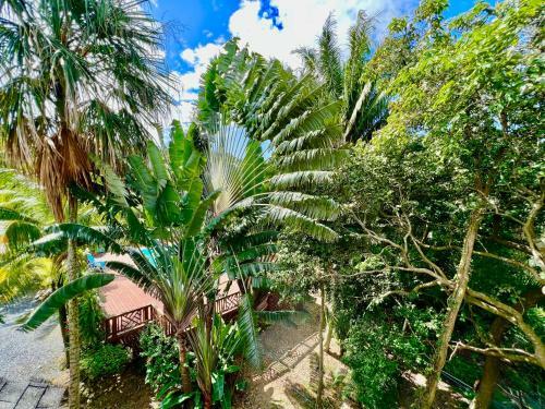 Apartamento Casa Maria @sundancer, Sandy Bay