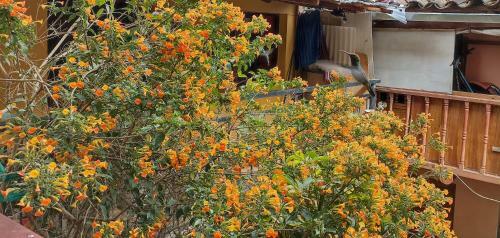 Hostal Kizza Ollantaytambo
