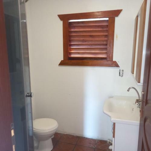 Apartamento Roatan Hostel 2