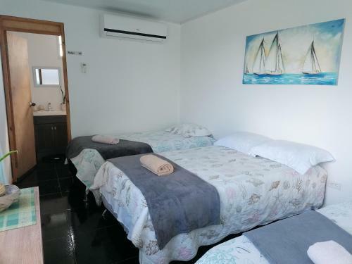 Apartamento New Experience