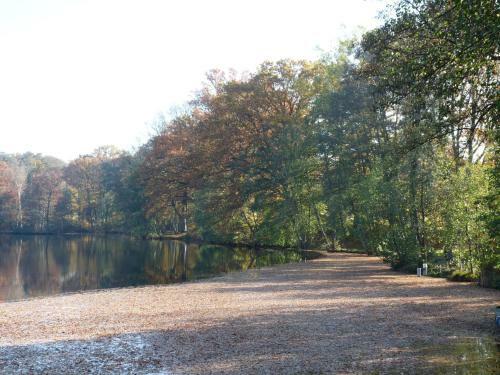 Apartamento Gite Des �tangs De Saint Bale