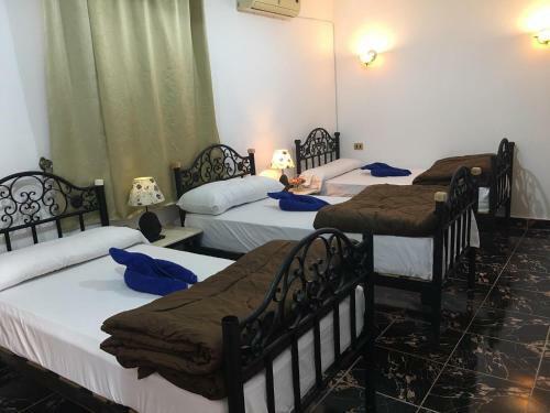 Dahab Home Bed&breakfast