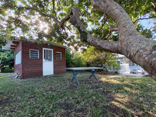 Apartamento Le Litchi - R�nov� - Jardin Arbor�