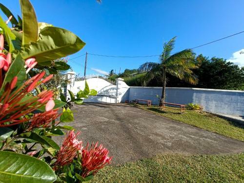 Apartamento Le Litchi - R�nov� - Jardin Arbor�